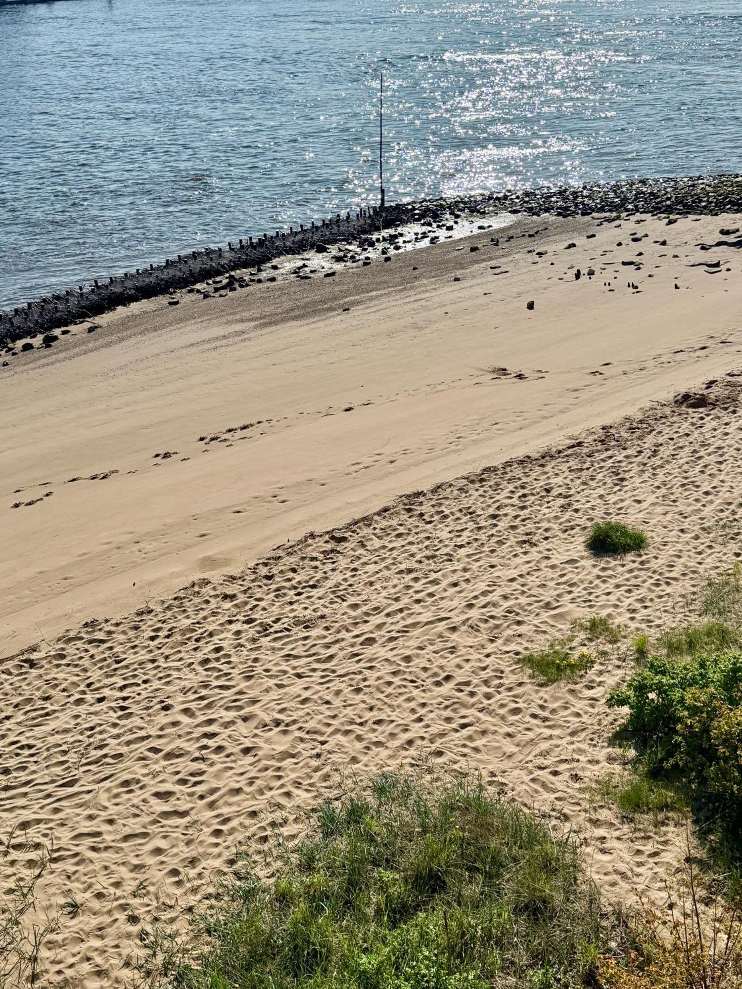 Gaestehaus Weserblick Am Weser-Sandstrand Berne Dış mekan fotoğraf